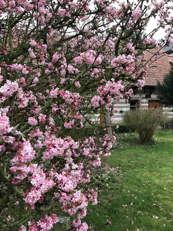 La Ferme Des Templiers De Flechinelle Bed & Breakfast Enquin-les-Mines Exterior photo